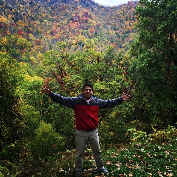 Meet your Posher, Ariel - Picture 1 of 1